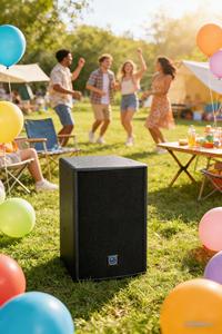 Altavoz Profesional de Rango Completo <span class=keywords><strong>Q</strong></span>-<span class=keywords><strong>10</strong></span> de <span class=keywords><strong>10</strong></span> Pulgadas |   Altavoz PA de Alta Potencia para KTV y Clubes de Entretenimiento - Product Image 4