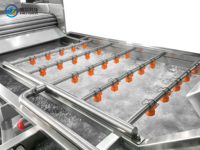 Commerciële apparatuur voor het wassen en reinigen van fruit en groenten, geschikt voor fruit- en groenteverwerkingsbedrijven