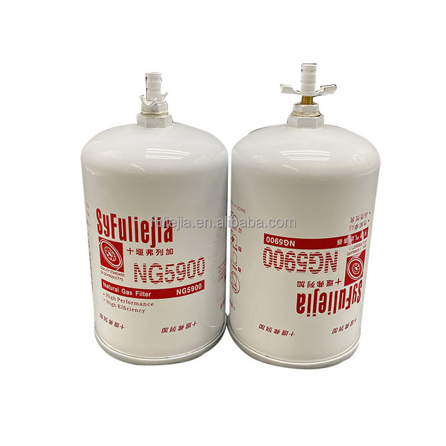 High Quality Natural Gas Filter 533416 P550735 BF7695 NG5900 3606712