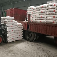 Sulfato de Amonio de Baja Humedad y Sin Aglutinación, Fertilizante Granular de Nitrógeno y Azufre de Grado Agrícola para Importadores Globales de Productos Agrícolas