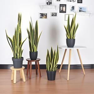Bonsái de <span class=keywords><strong>Agave</strong></span> de Aloe Vera Tropical Artificial más vendido, hoja de hierba de simulación realista de plástico verde <span class=keywords><strong>pequeño</strong></span> para decoración del hogar - Product Image 1