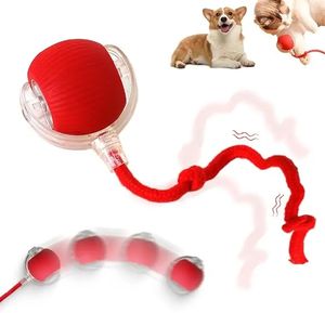 Juguete Interactivo Eléctrico de Plástico para Perros/Gatos, Pelota Rodante Automática 360° Actualizada 2024 - Product Image 1