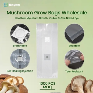 =RAYBO 390*650mm Size Breathable PP <strong>Bag</strong> for <strong>Magic</strong> <strong>Mushroom</strong> <strong>Grow</strong> <strong>Bags</strong> with Injection Port - Product Image 5