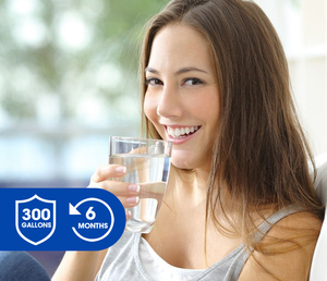 RPWF Coco cáscara <span class=keywords><strong>de</strong></span> <span class=keywords><strong>nuez</strong></span> refrigerador Ewater cartucho <span class=keywords><strong>de</strong></span> filtro <span class=keywords><strong>de</strong></span> agua para tratamiento <span class=keywords><strong>de</strong></span> agua - Product Image 6