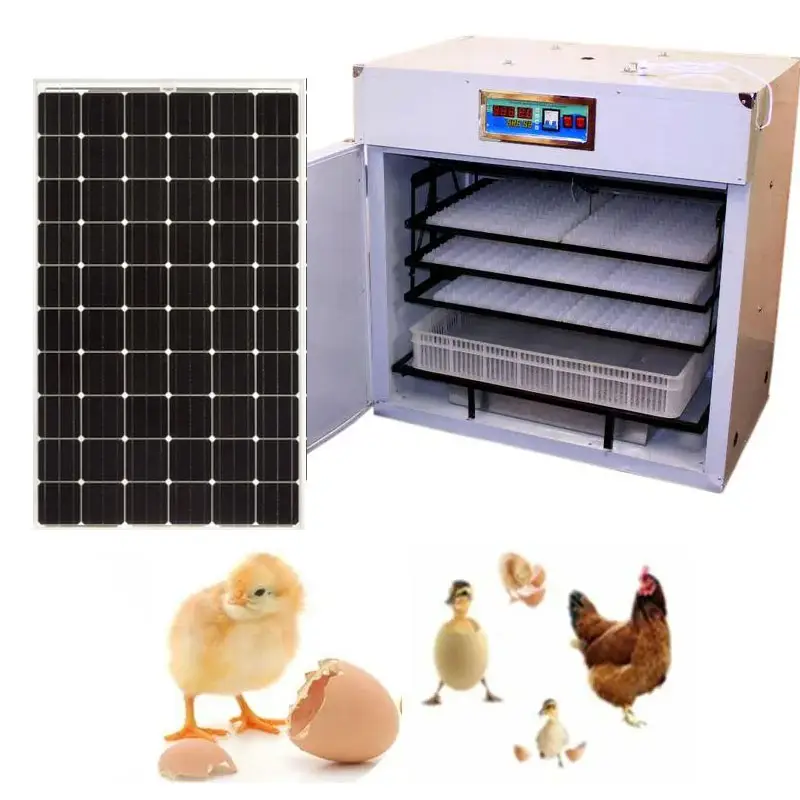 Farm Use 440 egg incubator and hatching machine automatic solar incubator incubators hatching eggs solar powered