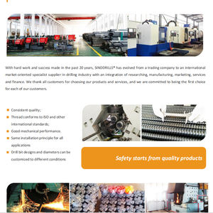 Sinodrills Barra <span class=keywords><strong>de</strong></span> anclaje hueca Perno autoperforante Varilla roscada <span class=keywords><strong>de</strong></span> mano izquierda T30/16 T30/14 T30/11 Perno <span class=keywords><strong>de</strong></span> roca <span class=keywords><strong>de</strong></span> carcasa <span class=keywords><strong>de</strong></span> expansión - Product Image 5