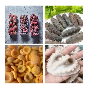 Máquina de Congelación Rápida de Alimentos Líquidos por Aire - Product Image 6