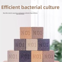 Matériaux filtrants en céramique pour aquarium, briques carrées nano, habitat pour bactéries nitrifiantes, blocs de purification de l'eau de mer