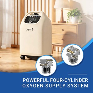 Concentrador de Oxígeno Doméstico AERTI de Diseño Silencioso y Larga Duración para LTOT - Product Image 2
