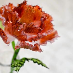 Figura Decorativa de Flor de Peonía Roja Elegante, Hecha a Mano y Personalizada, Regalo Romántico <span class=keywords><strong>para</strong></span> Mamá, Aniversario y <span class=keywords><strong>Cumpleaños</strong></span> - Product Image 2