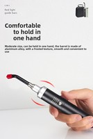 Lampe torche de thérapie par la lumière rouge industrielle mini de poche en gros, 660 nm, en acier inoxydable, 350 lumens, appareil portable pour soulager la douleur
