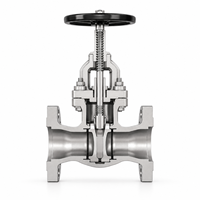 Vanne à opercule industrielle à bride en acier CF8M Classe 150 LUOKEFM Z41H-150LB à opercule métallique, pour eau douce, -29~425, garantie 1 an