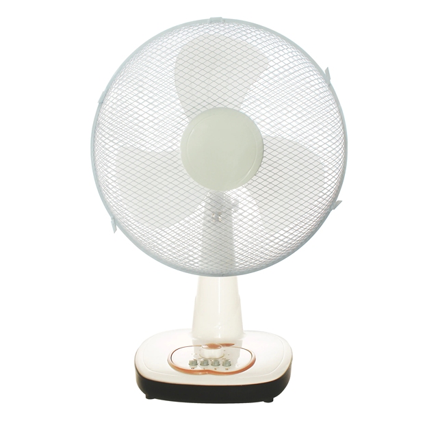 Factory Wholesale Customized 16 Inch AC Motor Air Cooling Plastic Hotel Use 3-Speed Timer Portable Desktop Fan