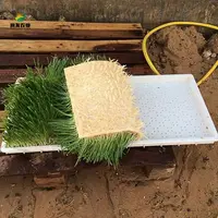 المائية العلف تزايد نظام آلة لتصنيع العلف المائية العشب زارع المائية آلة ل الشعير