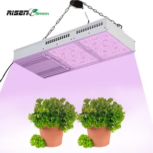 Lámparas de luz de cultivo de plantas Led de espectro completo para invernadero