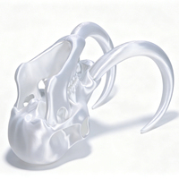 Collection de Crânes Fossiles Imprimés en 3D pour Cadeaux Artisanaux – Mamouth Laineux Qualité Muséale pour l'Éducation et l'Exposition, Échelle Personnalisée Disponible