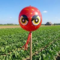 Ballon gonflable répulsif pour oiseaux, œil de prédateur, réfléchissant, pour jardin, ferme, verger, contre les pigeons, les moineaux, les écureuils