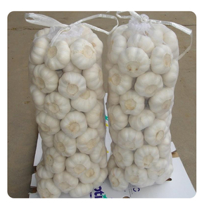 Nouvelle récolte d'ail frais de haute qualité fournisseur d'origine produits entièrement séchés poudre d'ail prix de gros - Product Image 6