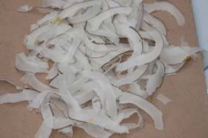 Máquina cortadora de chips de <span class=keywords><strong>coco</strong></span>, máquina cortadora de chips de <span class=keywords><strong>coco</strong></span>, máquina cortadora de chips - Product Image 4