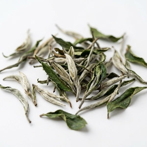 Thé blanc de haute qualité Fujian Fuding Bai Mu Dan en vrac, parfum frais, standard biologique, thé blanc - Product Image 2