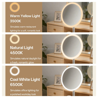 Miroir de maquillage LED Uyisi avec ventilateur de bureau, 1800 mAh, rechargeable par Type-C, miroir de vanité à vitesse variable avec trois niveaux de vitesse du ventilateur