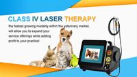 Laser de classe IV haute puissance équipement de thérapie laser vétérinaire 980nm 30w 60w laser pour le soulagement de la douleur chats chiens thérapie de cheval