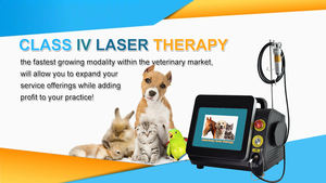 <span class=keywords><strong>Laser</strong></span> Daya Tinggi Kelas <span class=keywords><strong>IV</strong></span> <span class=keywords><strong>Laser</strong></span> Peralatan Terapi Hewan <span class=keywords><strong>Laser</strong></span> 980nm 30W 60W untuk Menghilangkan Rasa Sakit Kucing Anjing Terapi Kuda - Product Image 6