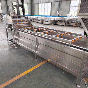 เครื่องล้างผักผลไม้แบบฟองอัตโนมัติเครื่องซักผ้าผักผลไม้สำหรับอุตสาหกรรม - Product Image 4