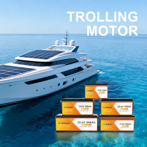 Batería de Litio de Ciclo Profundo de 12V 100Ah 200Ah 24V 200Ah para Sistemas Solares, Uso Marino y Fuera de la Red - Product Image 4