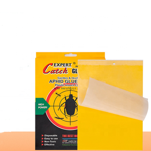Pièges à insectes collants jaunes double face en plastique, vente en gros à prix abordable, pour serres maraîchères et lutte contre les fourmis - Product Image 5