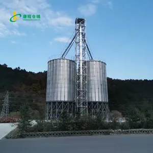 Hot-dip Galvanized Sorghum Vertical Silo 300 Tons Corn Steel Silo Rice Rice Grain Storage