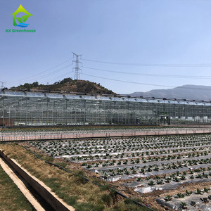 Serres agricoles en verre, système hydroponique vertical, serre Venlo, Invernadero <span class=keywords><strong>De</strong></span> <span class=keywords><strong>Tomate</strong></span> - Product Image 4