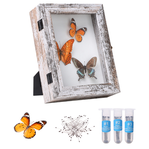 High Quality Butterfly Shadow Boxes - DIY & 3D Displays
