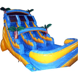 Vui chơi giải trí trượt với hồ bơi người lớn trượt bơm hơi với Blower 10ft trượt nước Inflatable cho trẻ em