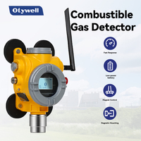 Detector de Fugas de Gas Fijo de Grado Industrial con Transmisión Inalámbrica Múltiple para Entornos con Gases Explosivos