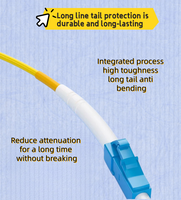 Cordon de raccordement fibre optique blindé intérieur FC-FC/ST-ST 12 fibres SM 9/125 LSZH jaune, longueur personnalisée 10M/20M/50M pour Wi-Fi