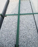Carreaux de sol en granit blanc flammé, pierre naturelle - Design moderne, légers, durables, écologiques, découpés sur mesure, garantie 1 an