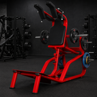 Machine de musculation pour squats REYK - En métal et acier inoxydable, entraîneur de force pour triceps, fessiers et mollets, utilisation universelle