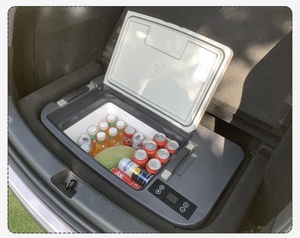 Capacité du réfrigérateur pour voiture Mini congélateur Refroidisseur Accessoires pour réfrigérateur Boîte de rangement électrique pour voiture - Product Image 5