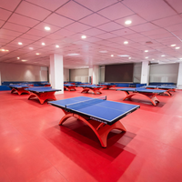 Runsure - Revêtement de sol sportif en PVC résistant à l'usure et facile à nettoyer, solution de pose rapide pour salle de danse, certifié EN 14904