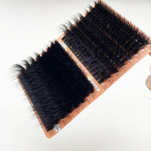 Extensions <span class=keywords><strong>de</strong></span> <span class=keywords><strong>cils</strong></span> en bouquets 100D 200D, <span class=keywords><strong>fournisseur</strong></span> en gros, fournitures <span class=keywords><strong>de</strong></span> <span class=keywords><strong>cils</strong></span> <span class=keywords><strong>de</strong></span> haute qualité - Product Image 3