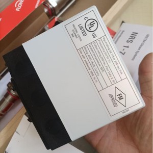 ตัวควบคุมระดับน้ำหม้อไอน้ำ Gestra Nrs1-7 230V 50/60Hz ผลิตในเยอรมนี - Product Image 3