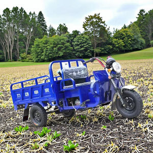 Volcado de motocicleta agrícola de <span class=keywords><strong>tres</strong></span> <span class=keywords><strong>ruedas</strong></span> refrigerado por agua de 250cc con eje de carga de combustible de gasolina Sidecar para pasajeros y carga - Product Image 5