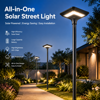 Lampadaire Solaire Commercial Tout-en-un pour Jardin 30W 25W avec Capteur de Lumière Automatique et Fonction Minuterie pour Résidences