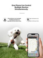 Traceur GPS intelligent pour animaux de compagnie, anti-perte pour chat et chien, mini localisateur avec système de positionnement global double, dispositif de suivi en temps réel