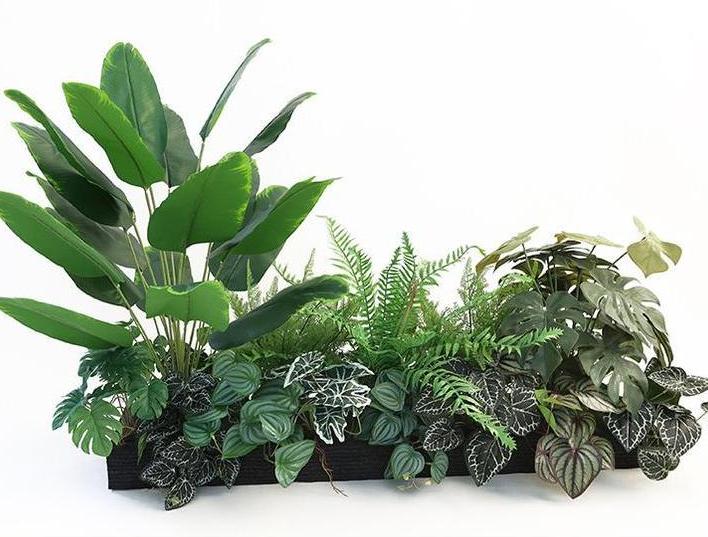 Fairy Wild Green Trail - Green Plant Design Set 7