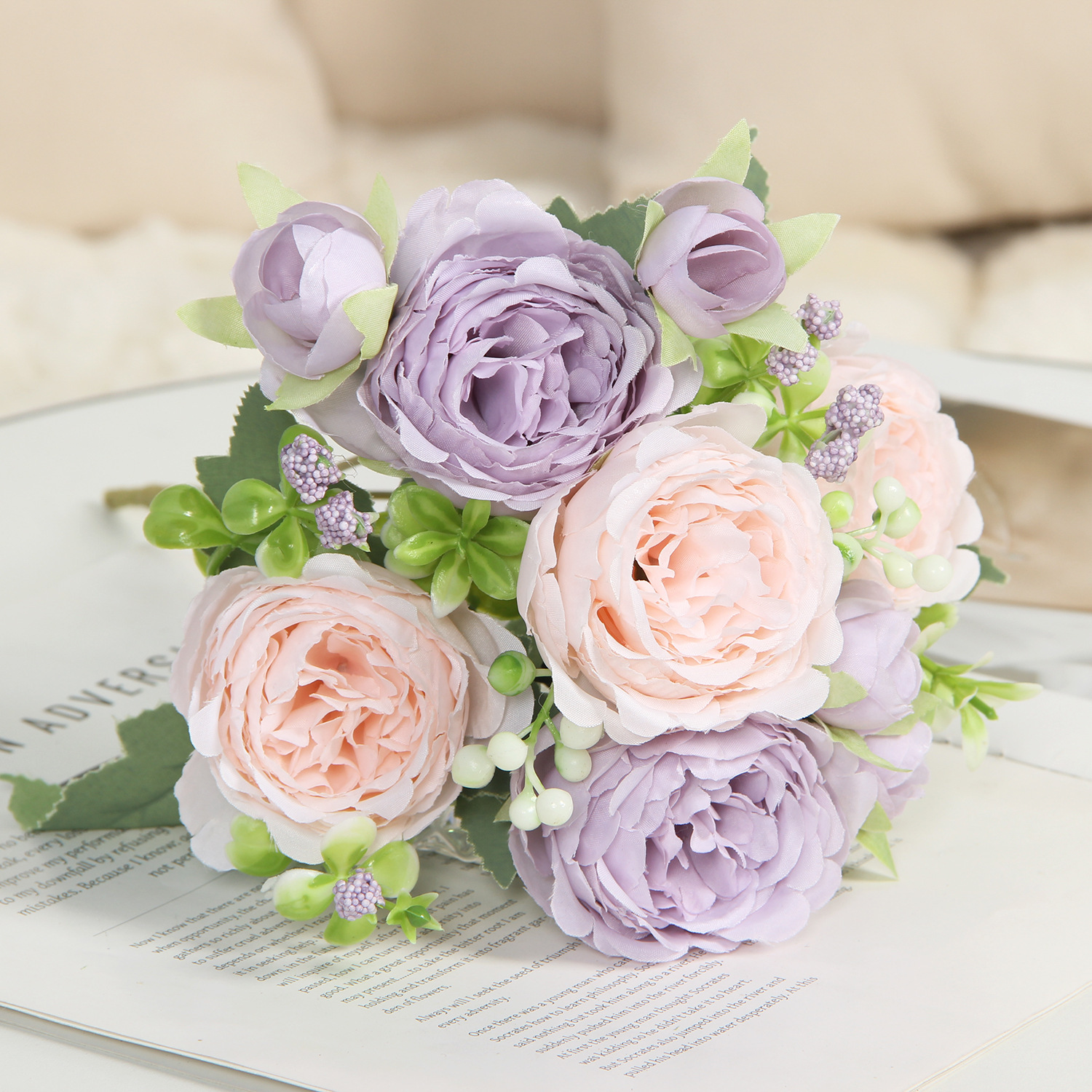 Rosa viola