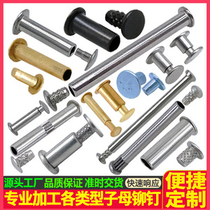 Tianyang Hardware Threaded Rivets Stainless Steel Snap Rivet Self Tapping Construction Industry Grade A Bright Uncoated - Product Image 3