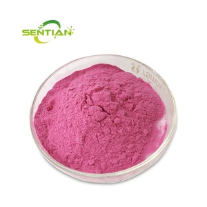 100% tự nhiên bluebery bột bluebery chiết xuất đóng băng khô Blueberry bột - Product Image 3