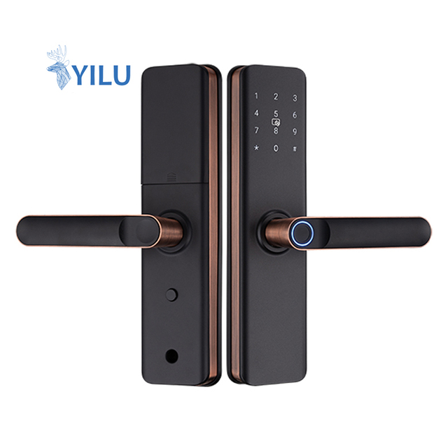 Wholesale Smart Indoor Bedroom Data Storage Biometric Security Home Tuya Fingerprint Door Lock